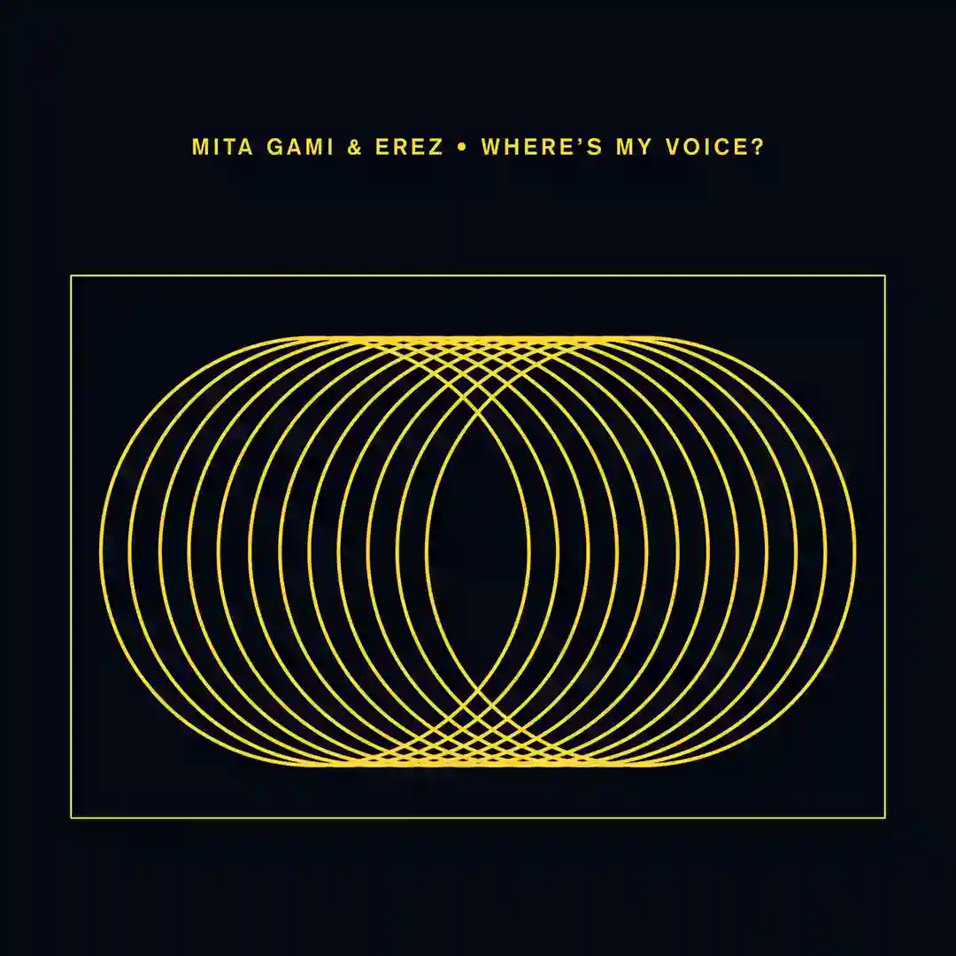 Where's My Voice? (Samer Soltan Remix) cover