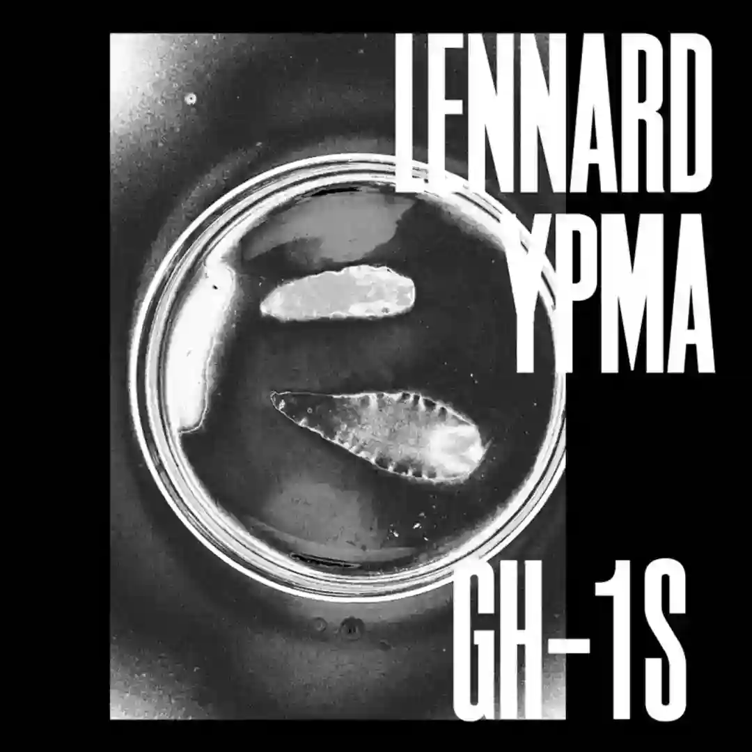 GH-1S cover