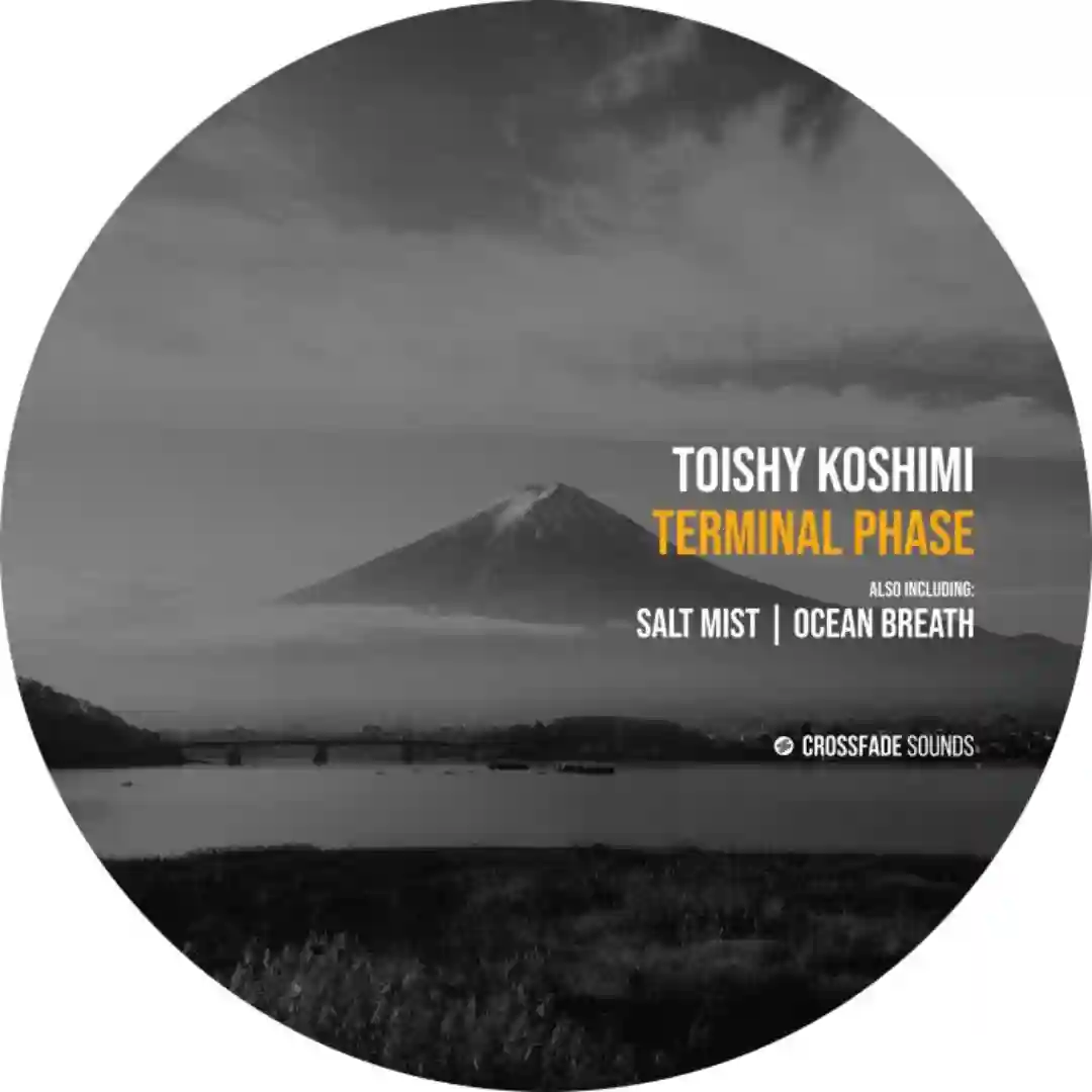 Terminal Phase (Original Mix) cover