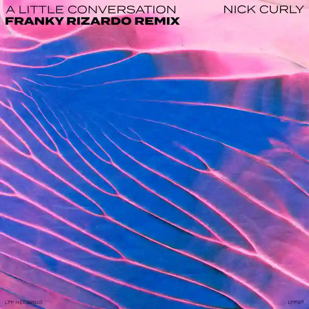 A Little Conversation - Franky Rizardo Extended Remix cover