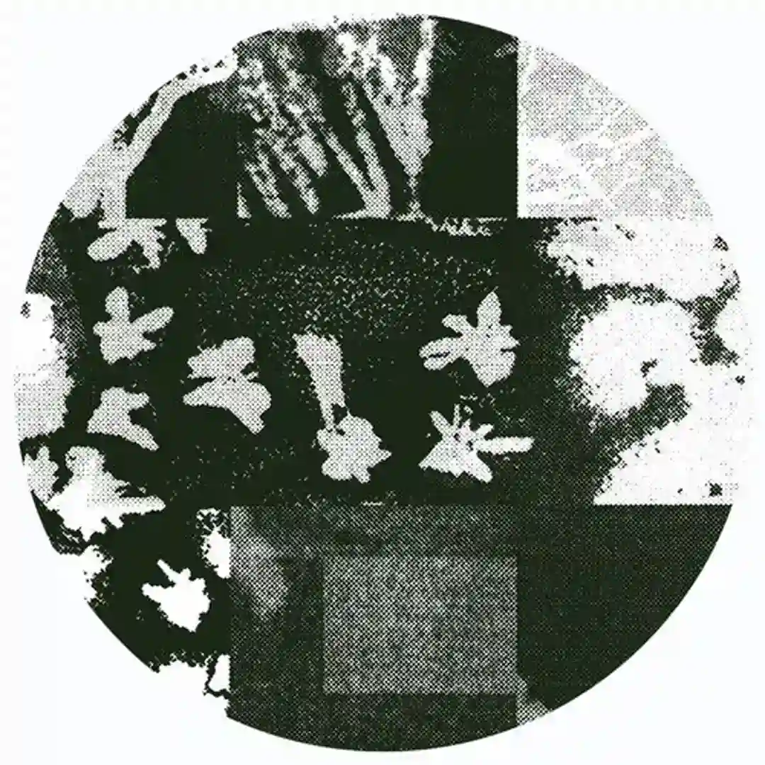 This is 4U cover