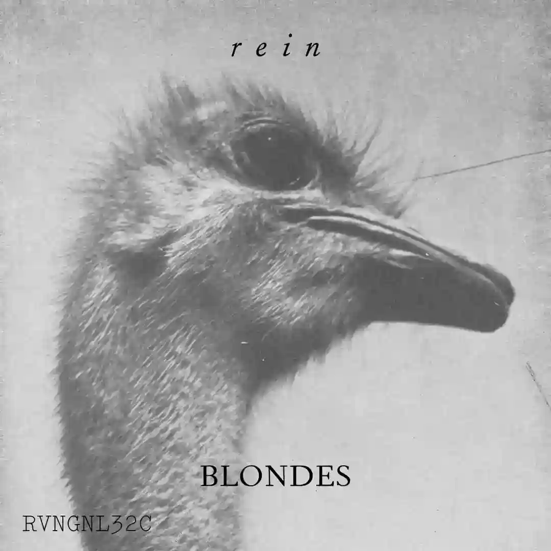 Rein cover