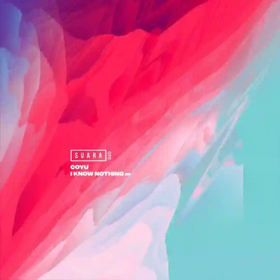 I Know Nothing - EP cover