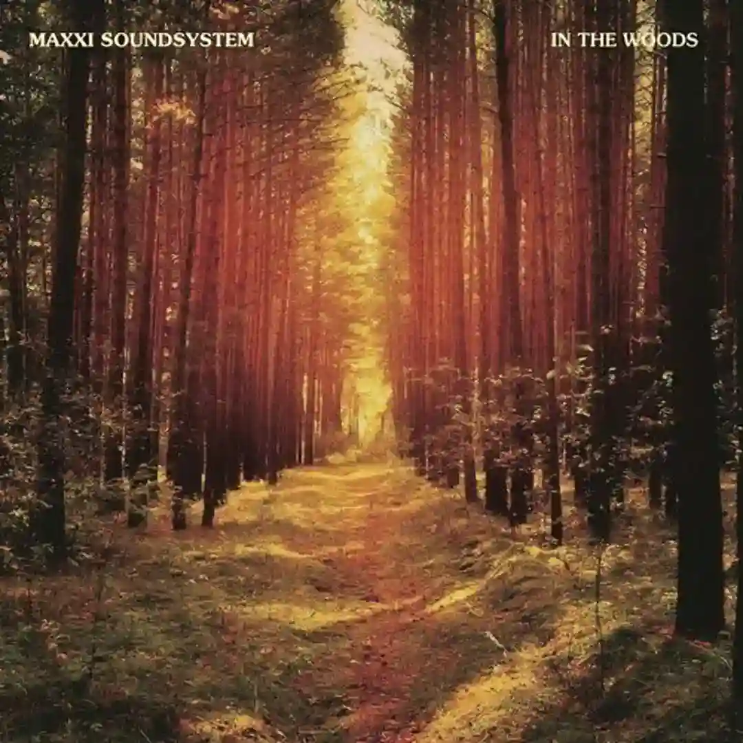 In The Woods cover