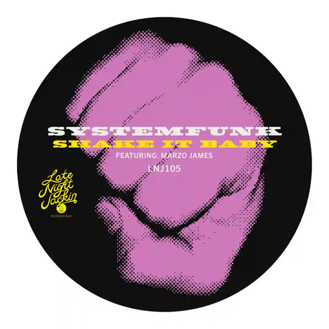 Shake It Baby (Original Vocal Mix) cover