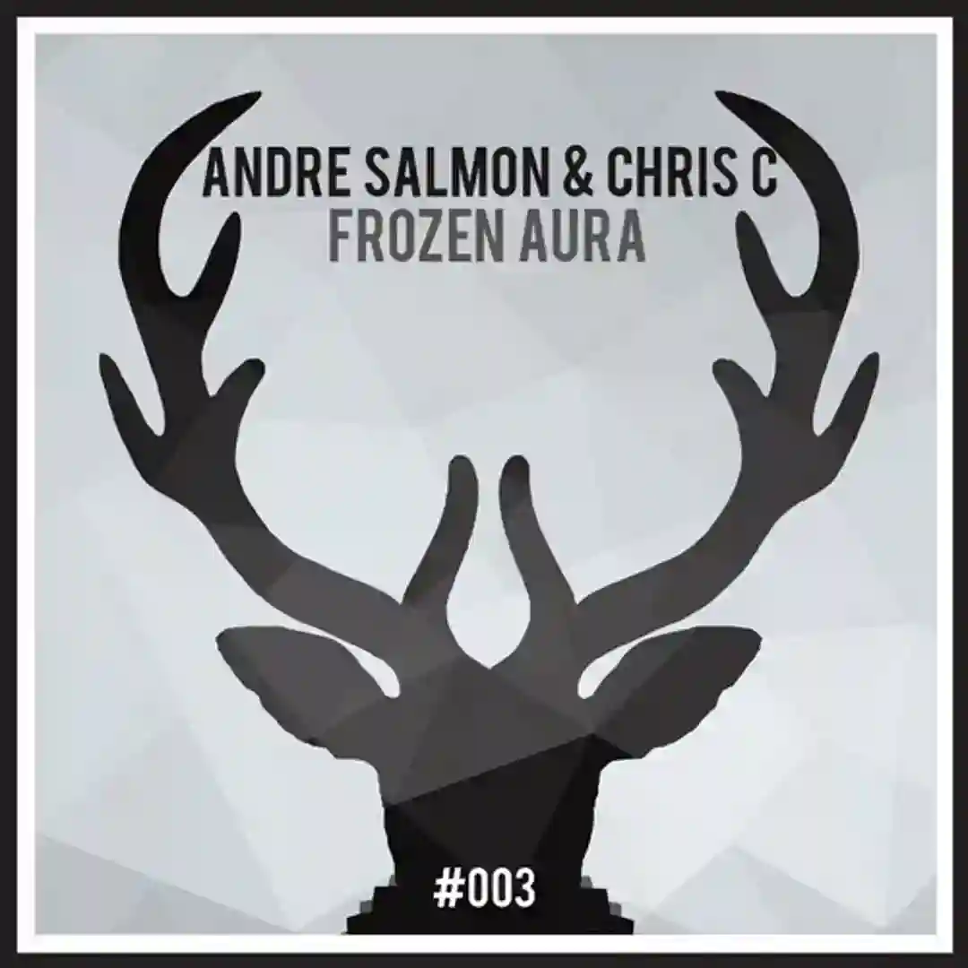 Liquid Stones (Original Mix) cover