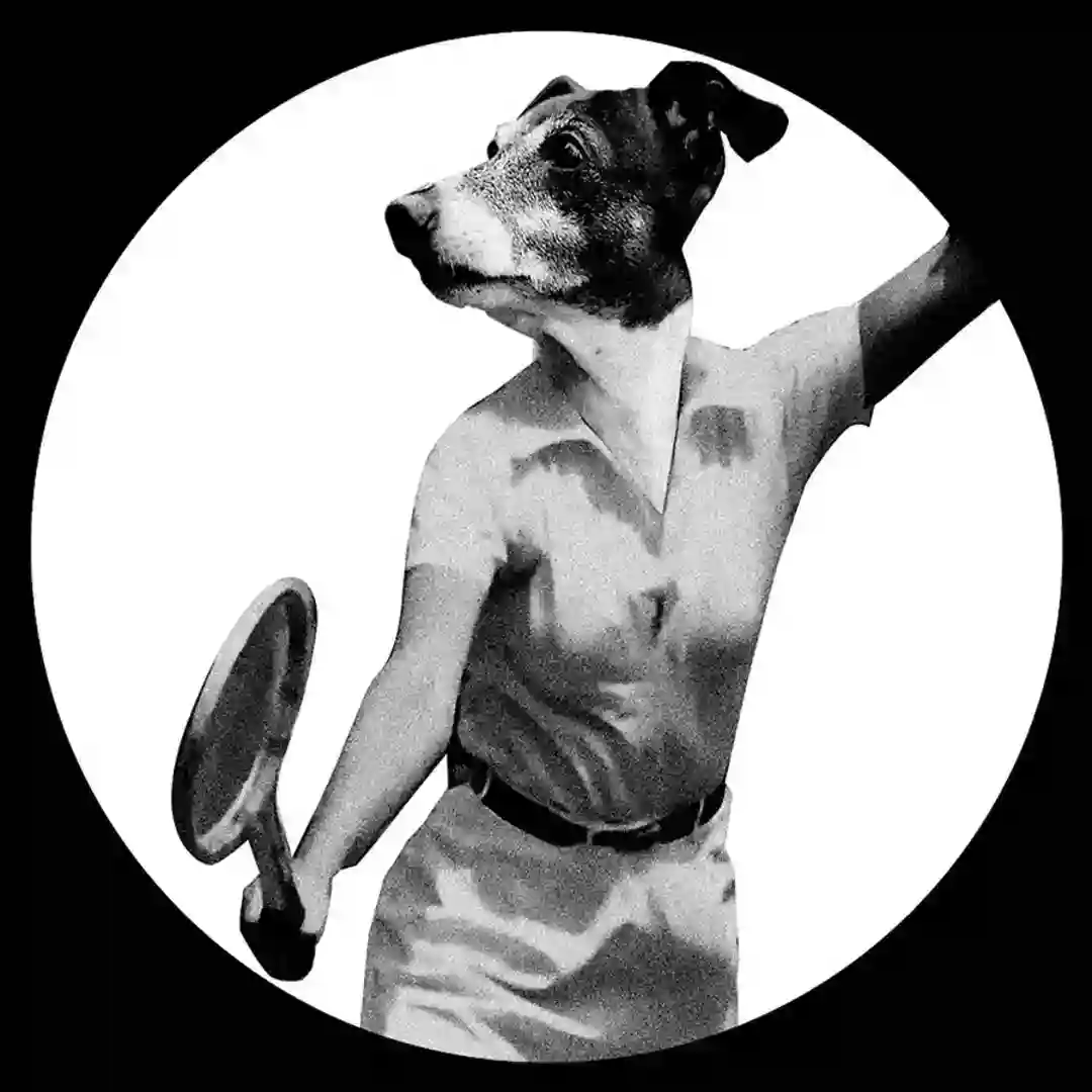 Nico´s Bass cover