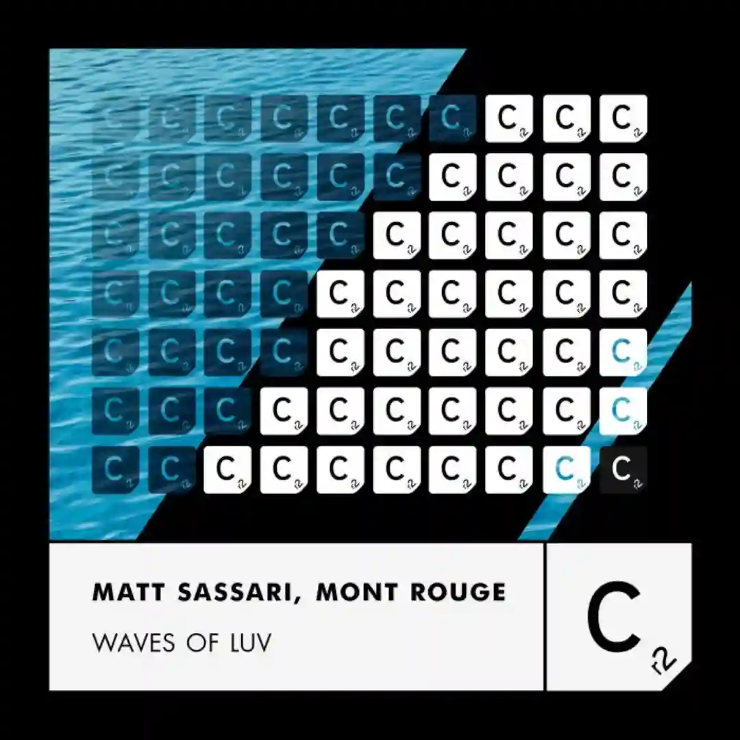 Waves of Luv (Extended Mix) cover