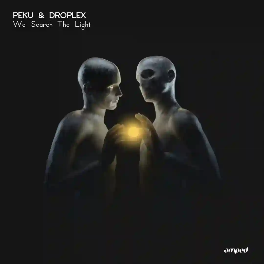We Search The Light cover