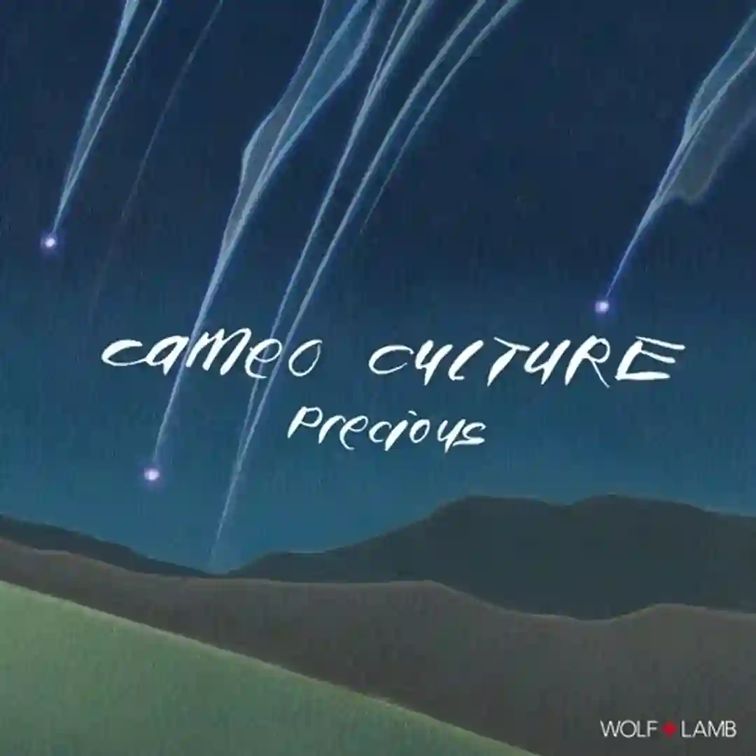 Precious (W+L 7am Mix) cover