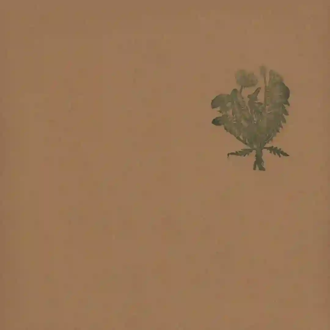 Taraxacum cover