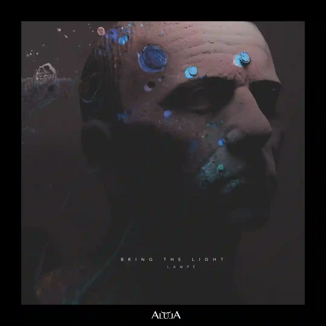 Bring the Light cover