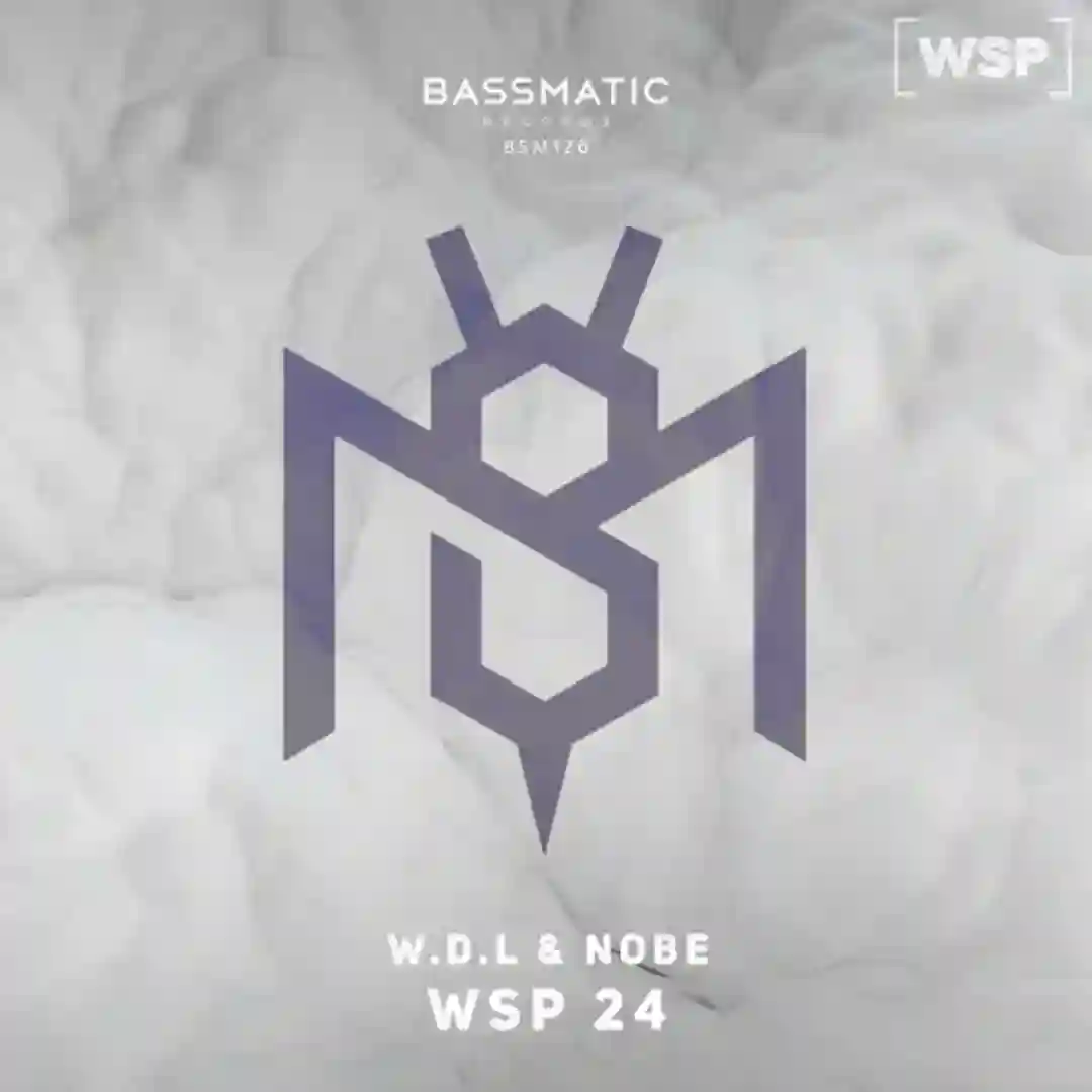 Wsp 24 (Dub Mix) cover