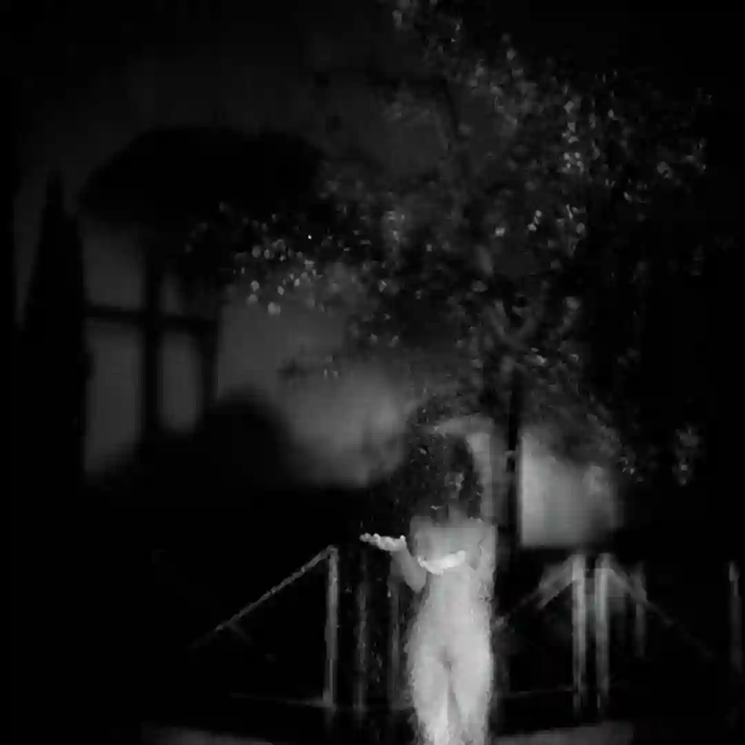 The Night Watch (Original Mix) cover