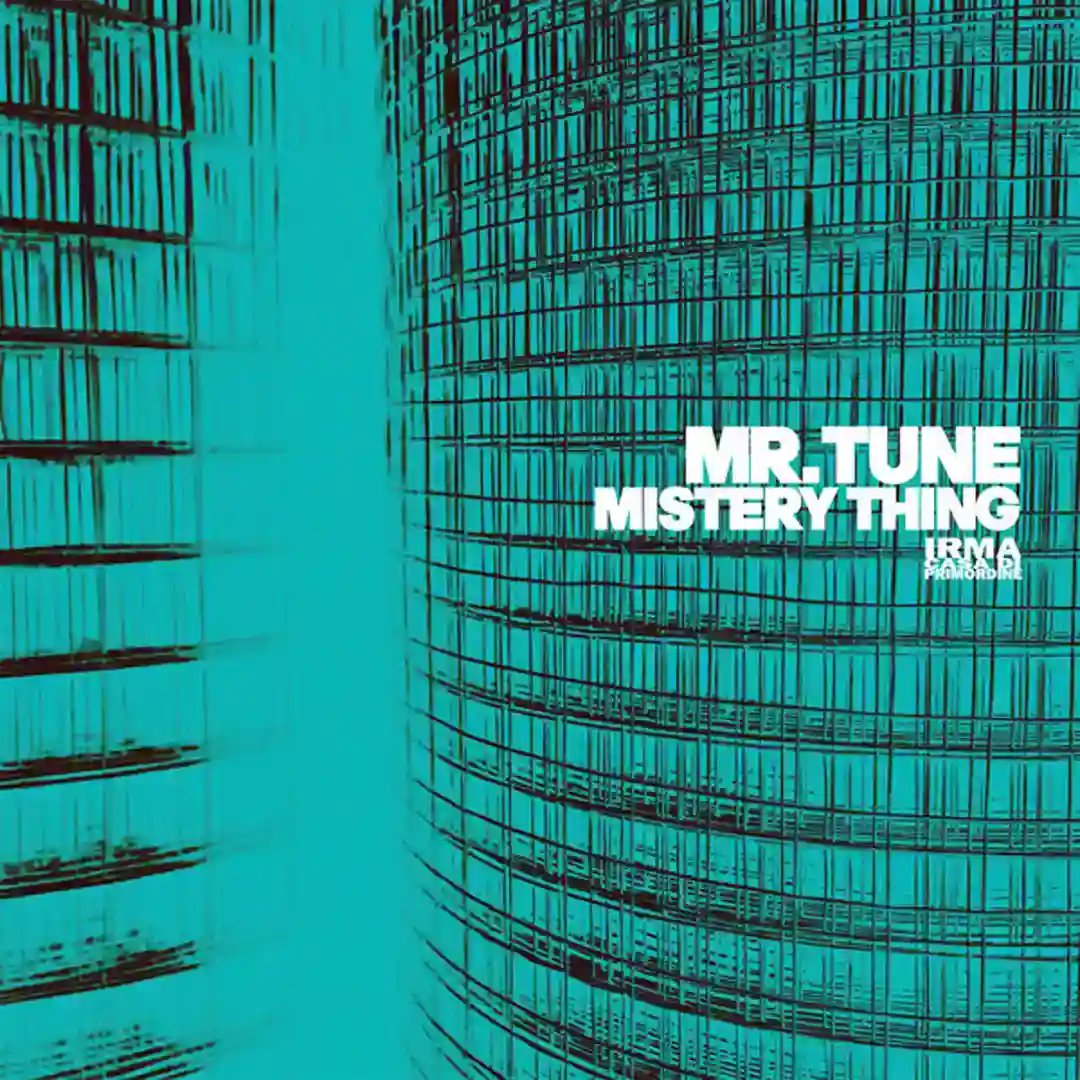 Mistery Thing cover