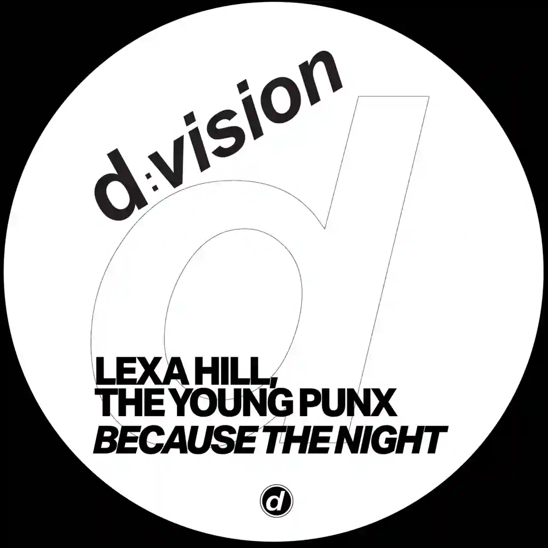 Because The Night (Extended Mix) cover