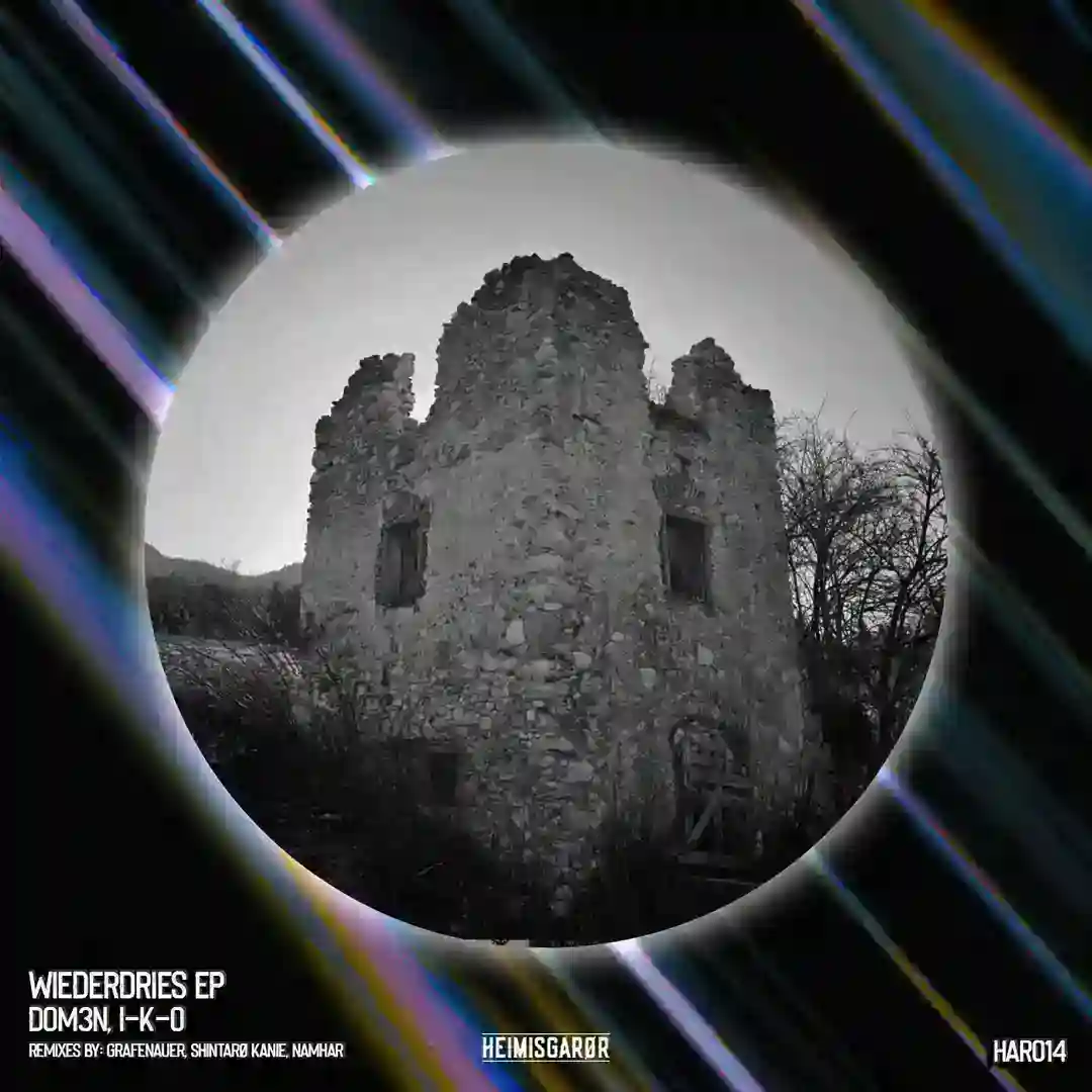 Wiederdries (Shintarø Kanie Remix) cover