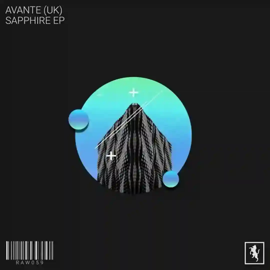 Hollow Point (Original Mix) cover