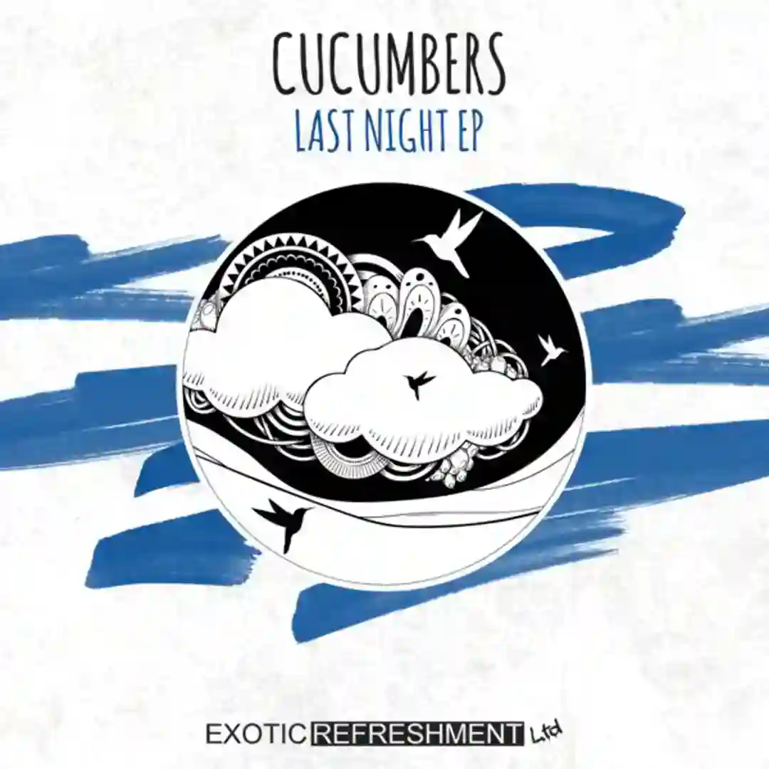 Last Night (Original Mix) cover