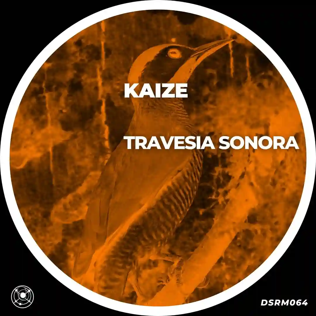 Universo Paralelo (Original Mix) cover