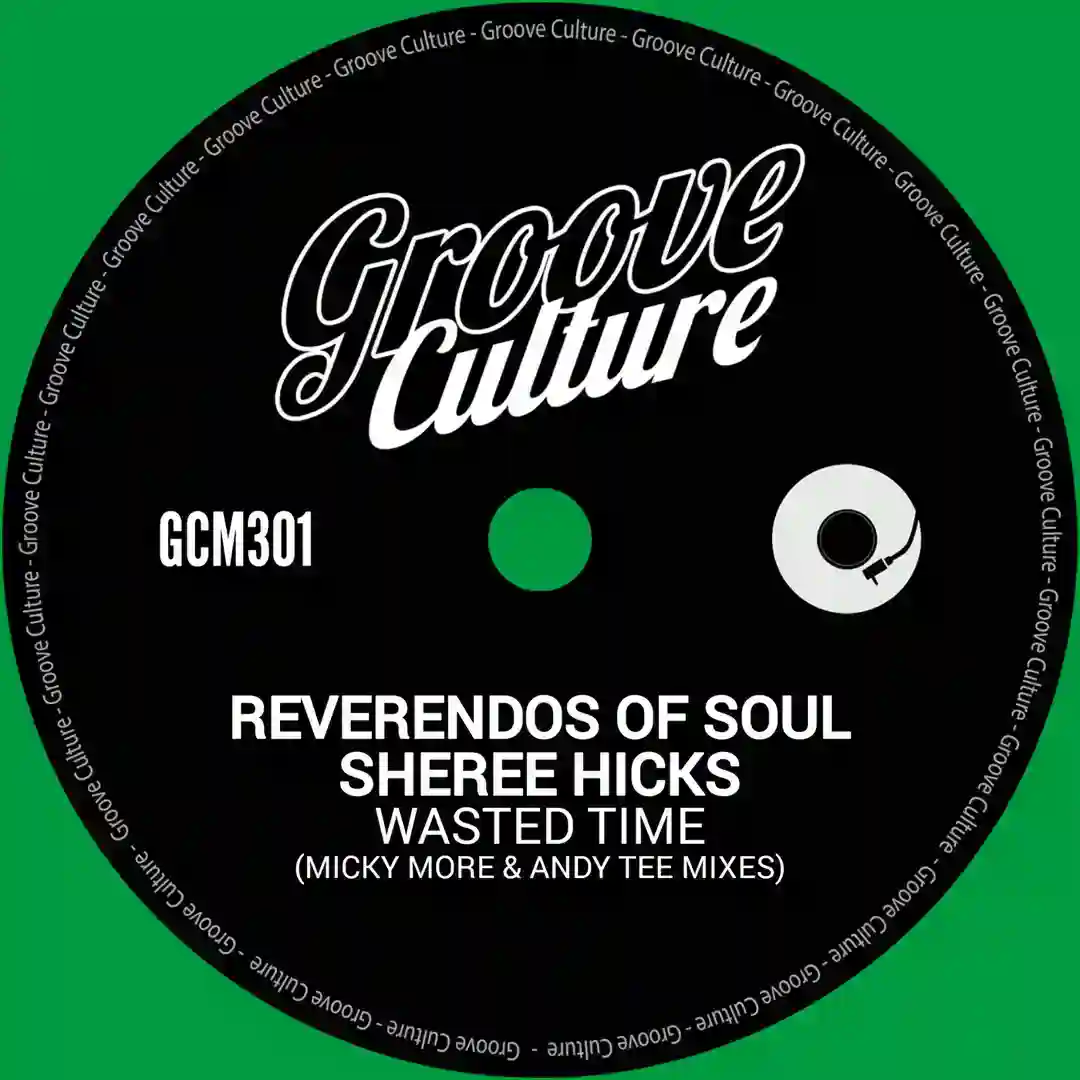 Wasted Time (Micky More & Andy Tee Mixes) cover