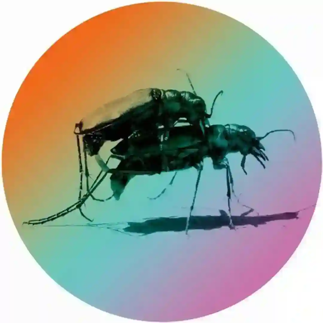 Fallin In Love (Original Mix) cover