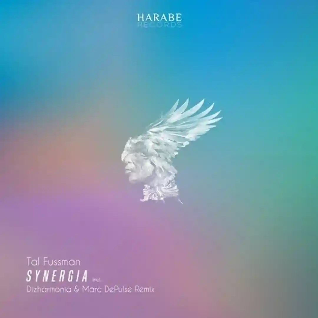 Layla (Dizharmonia Remix) cover