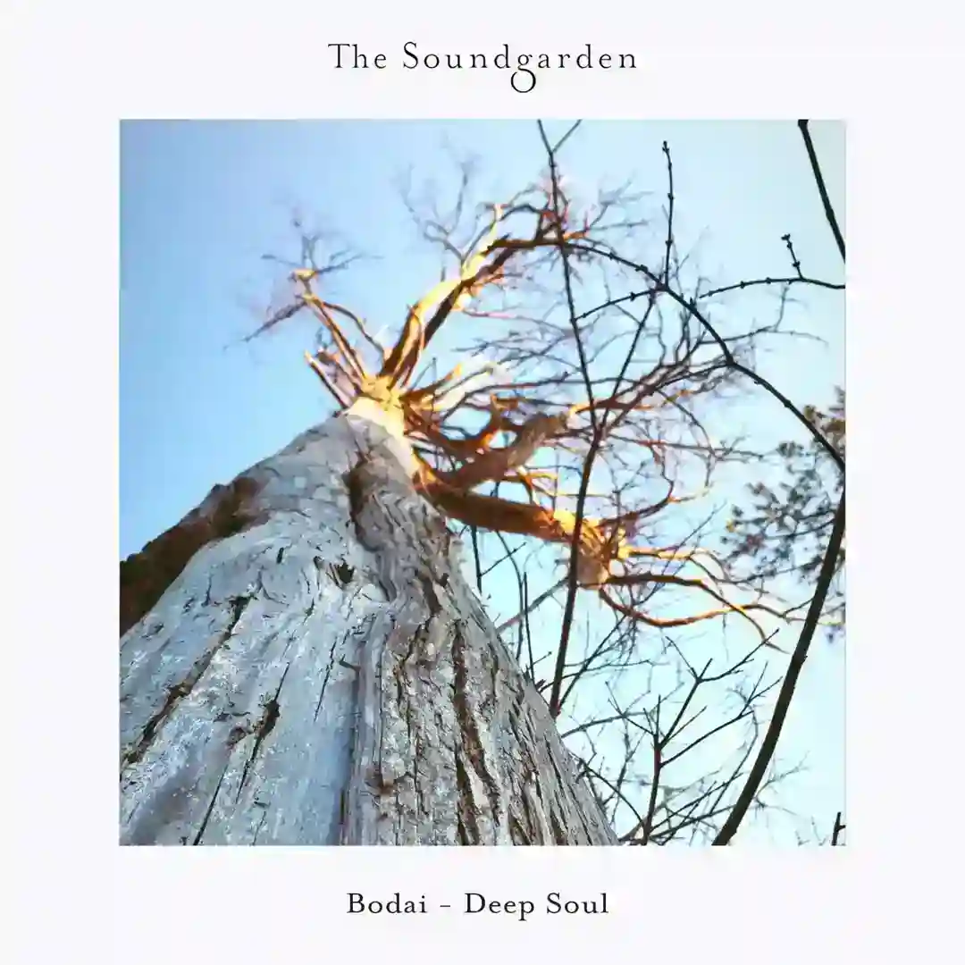 Sensorial (Original Mix) cover