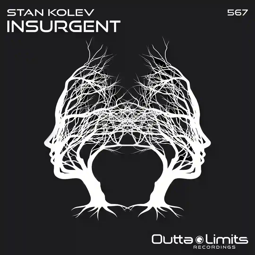 Insurgent cover