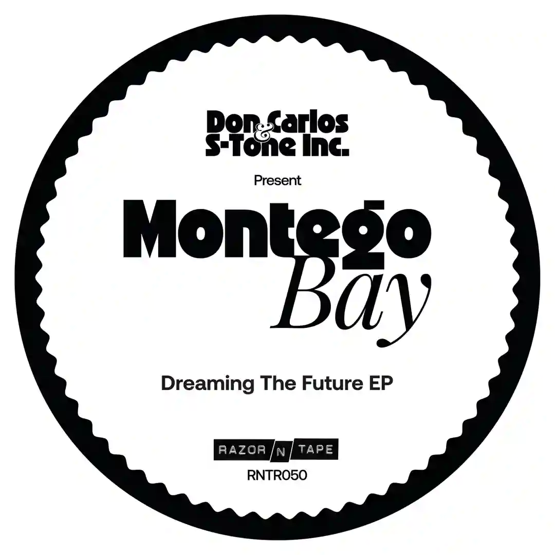 Dreaming the Future EP cover