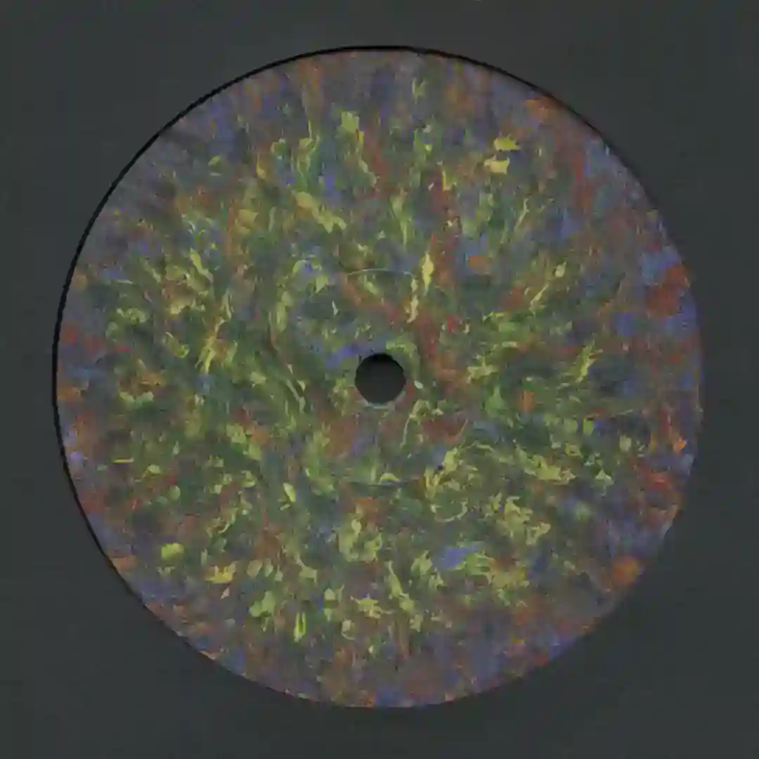 Sarec cover