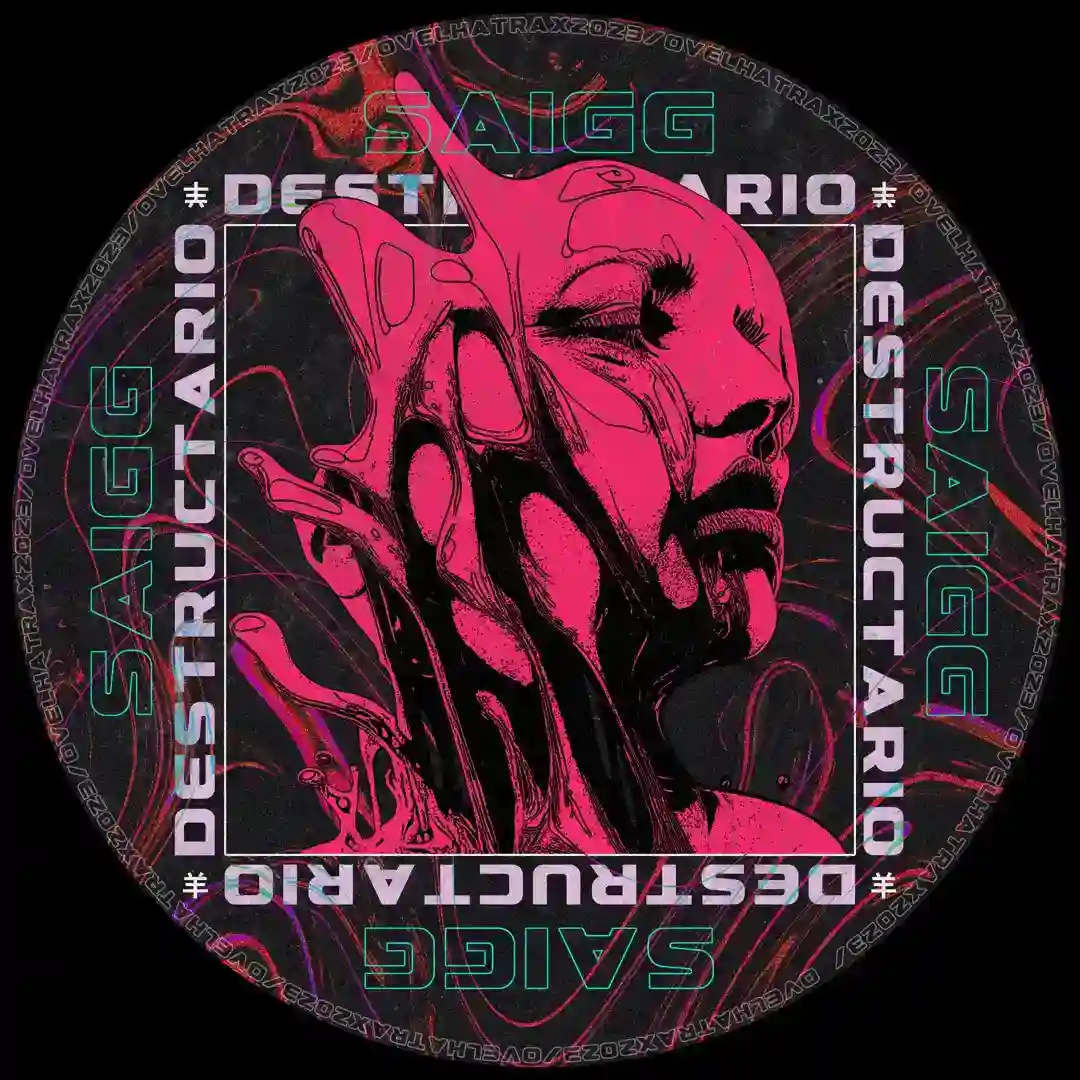 Destructario (Robert Cosmic Remix) cover