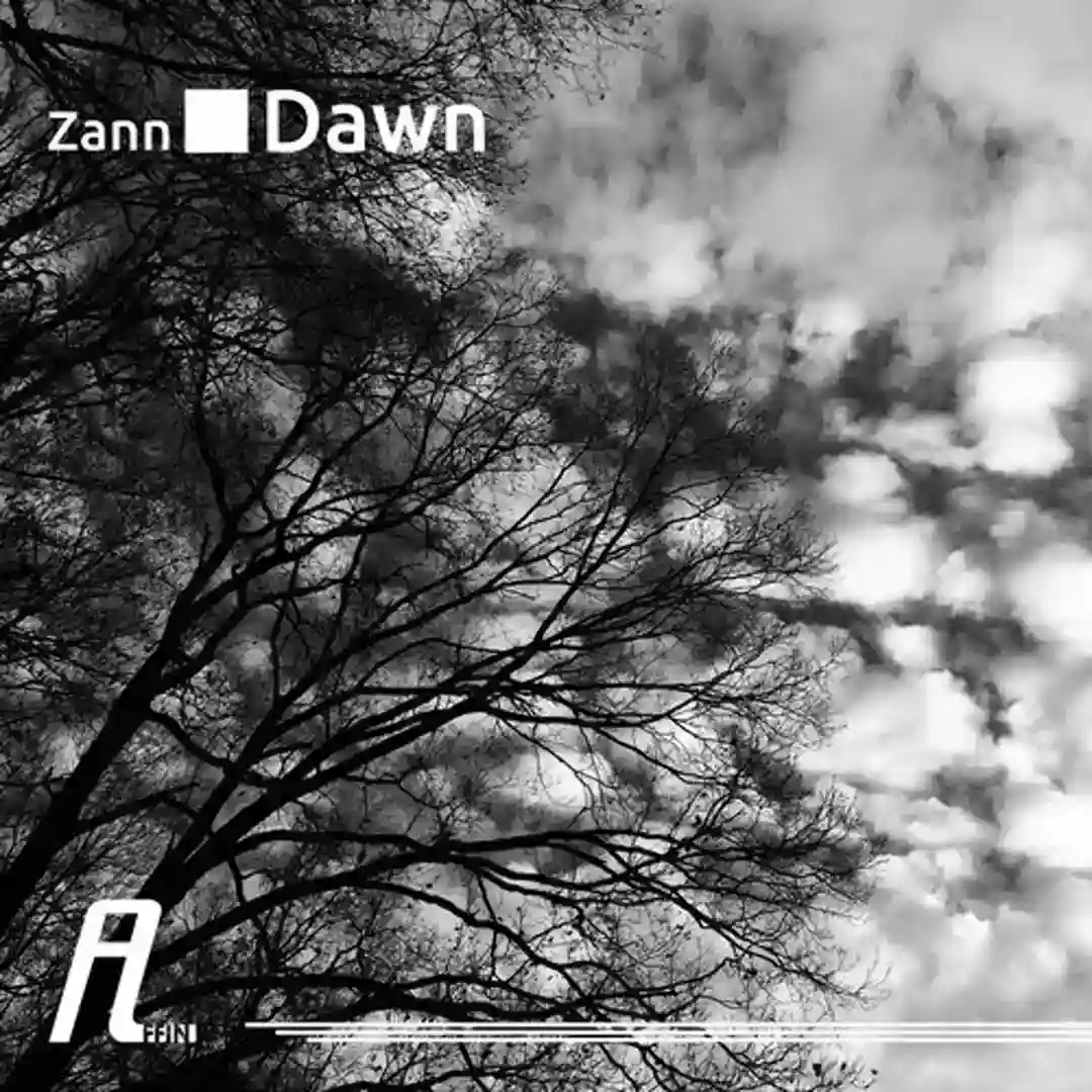 Stalker (Original Mix) cover