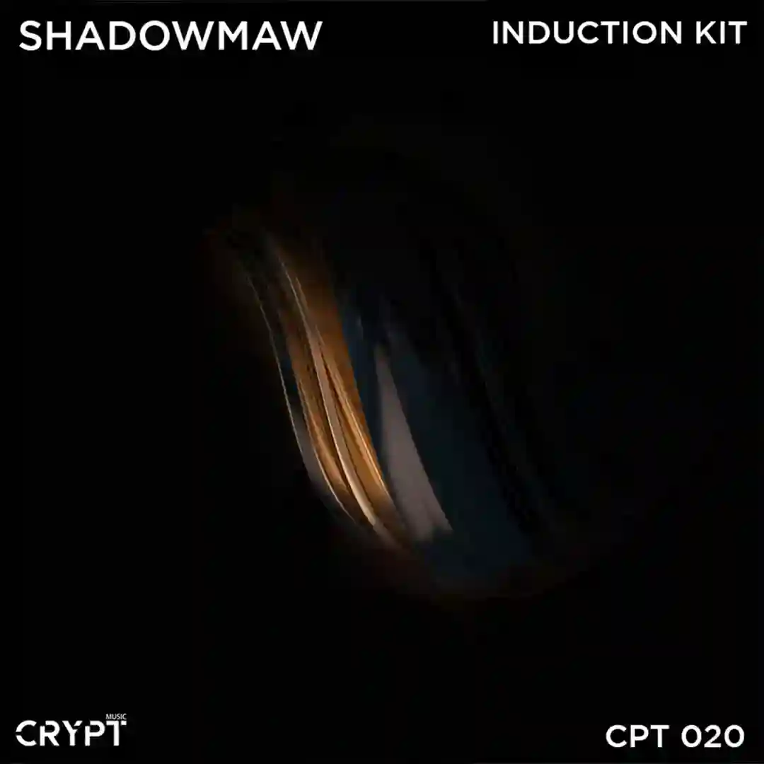 Induction Kit (Original Mix) cover