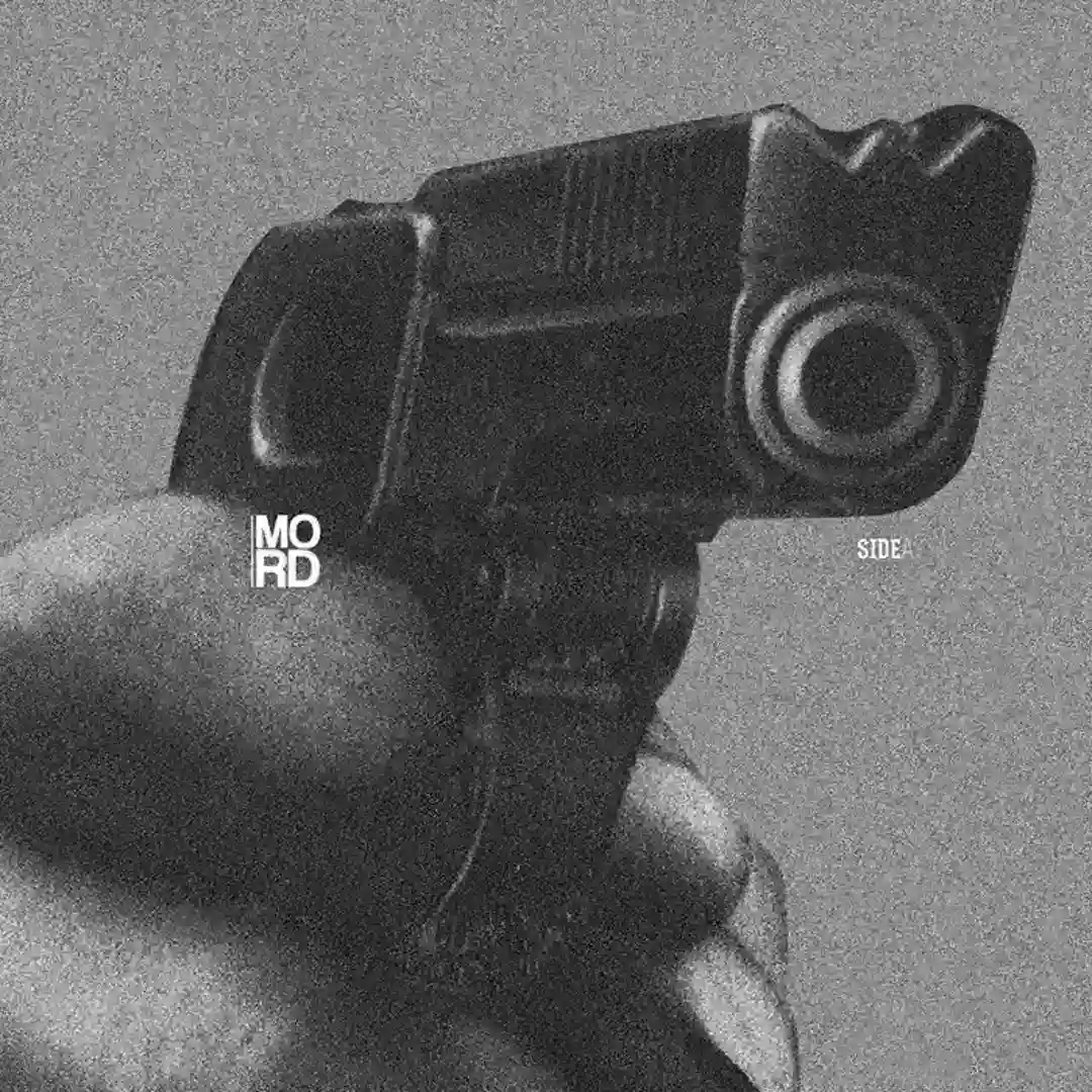Uncontrollable process of Self-Destruction cover
