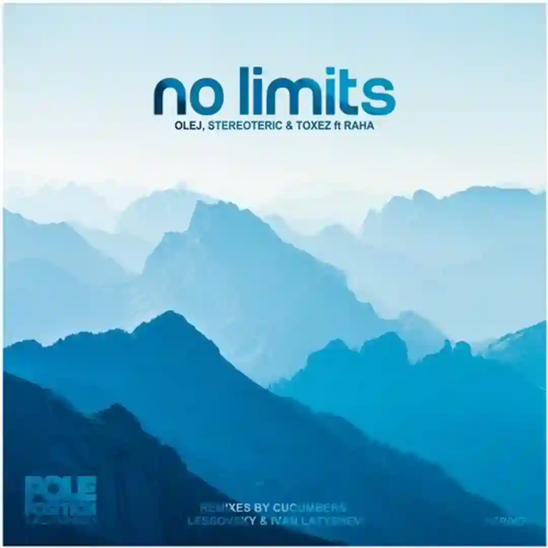 No Limits (Original Mix) cover