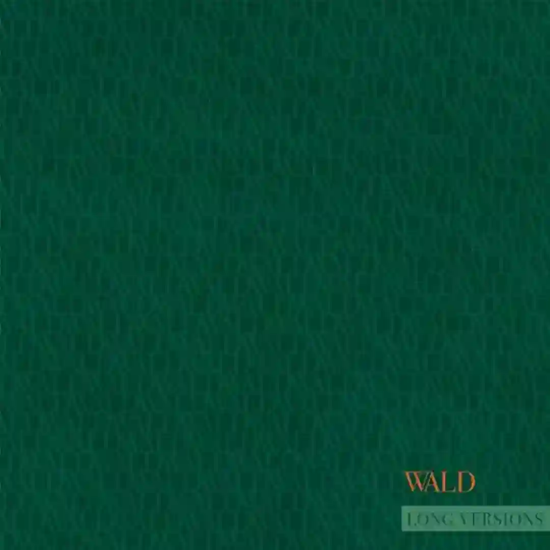 Geburt cover