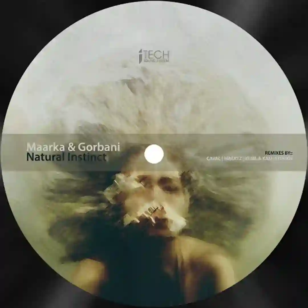 Natural Instinct cover