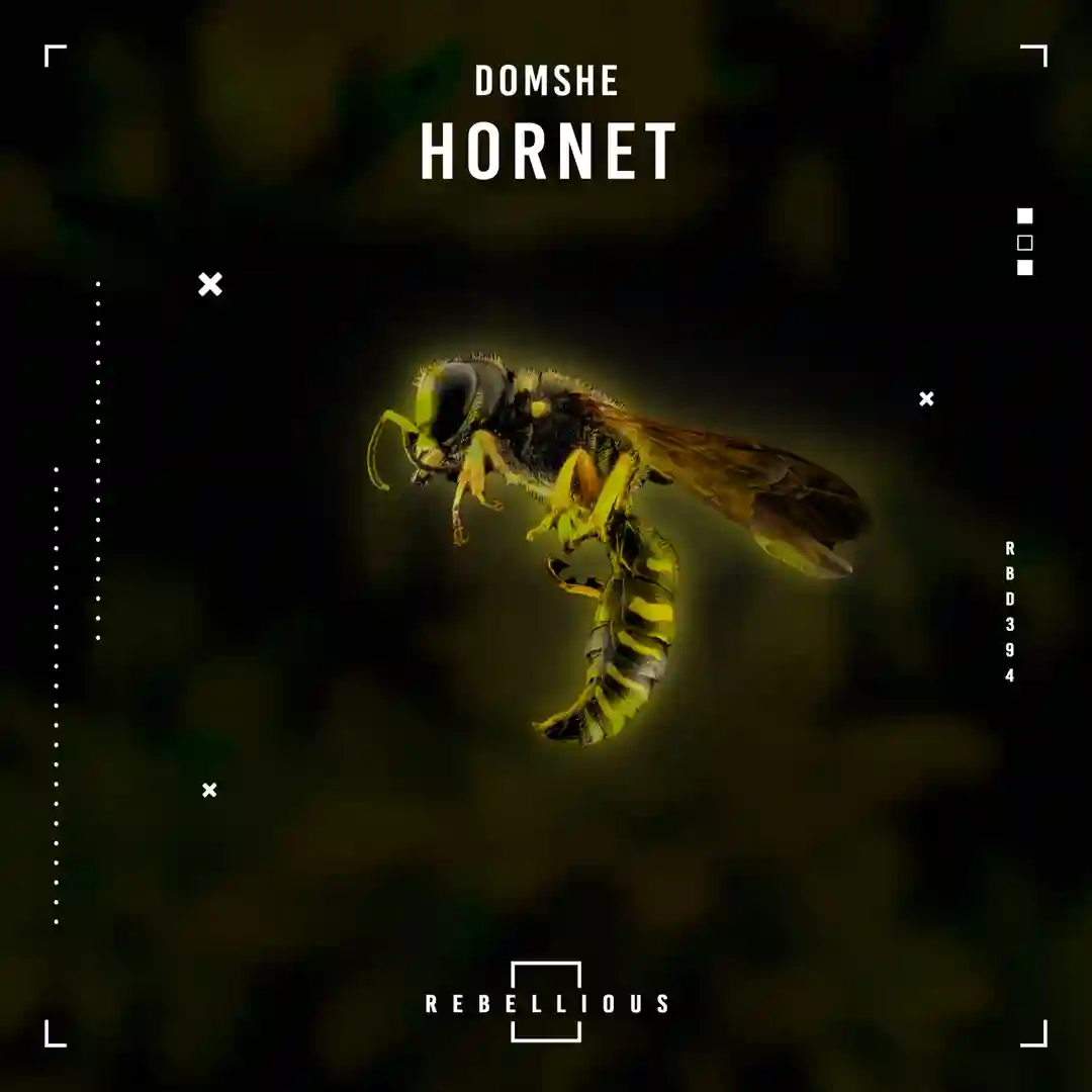 Hornet (Original Mix) cover