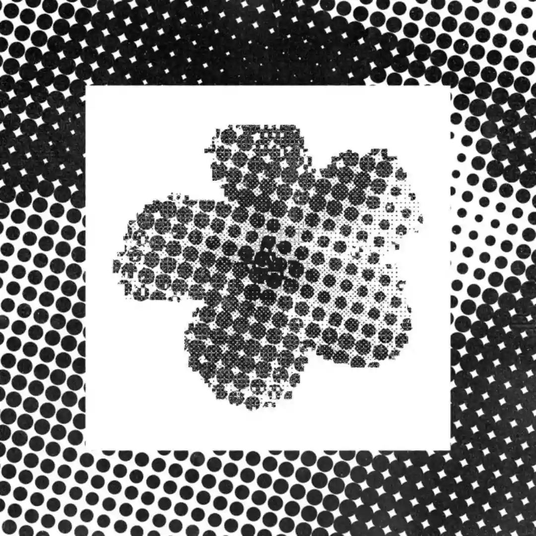 Dolphin Sports (Original Mix) cover