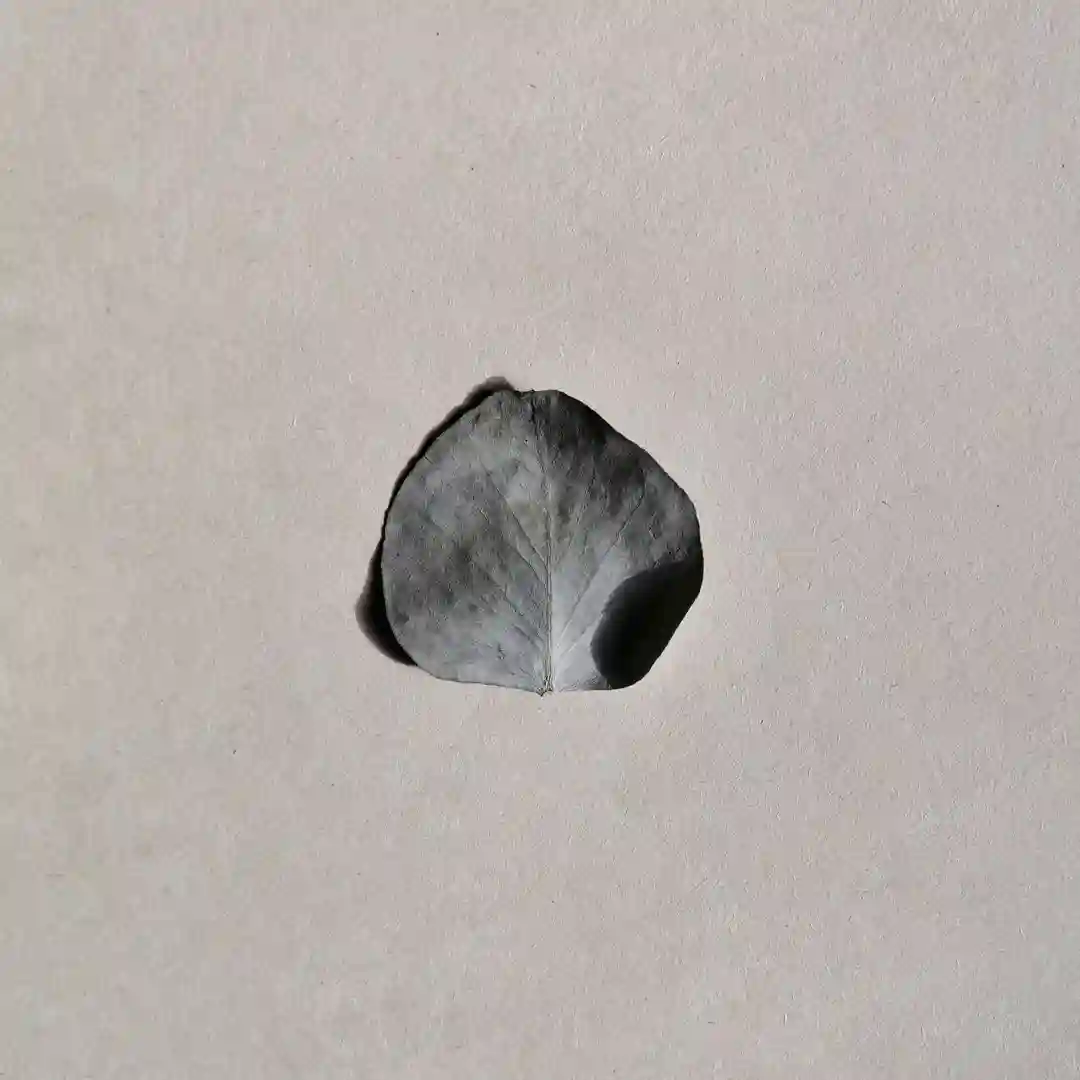 Born (Original Mix) cover