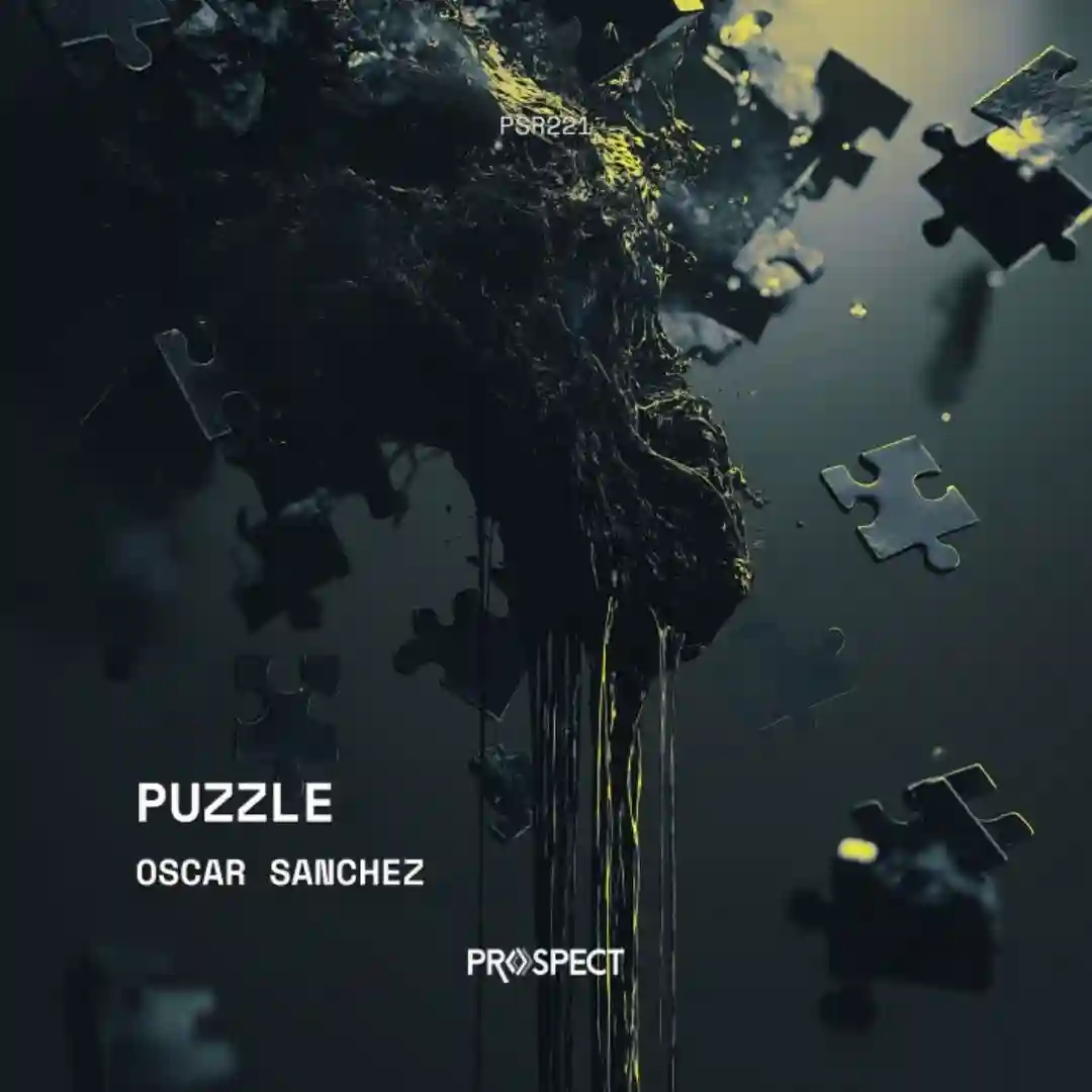 Puzzle cover