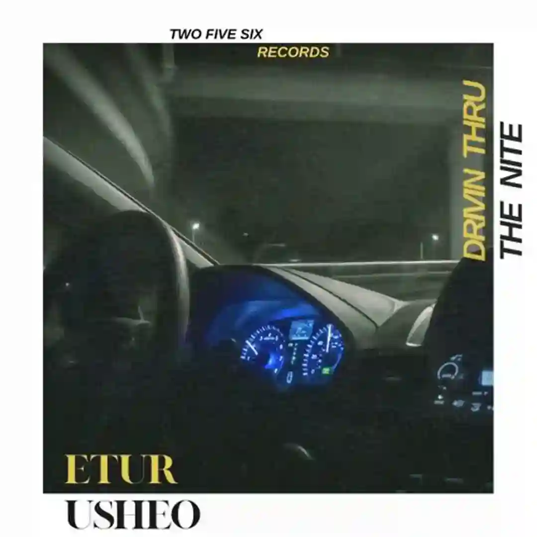 Driving Thru the Nite cover