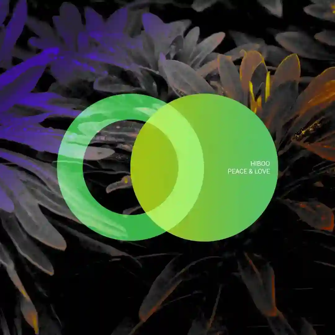 Boo York (Original Mix) cover