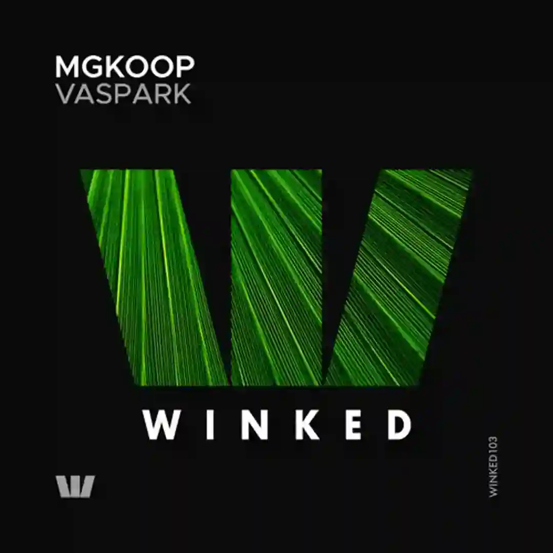 Vaspark (Original Mix) cover