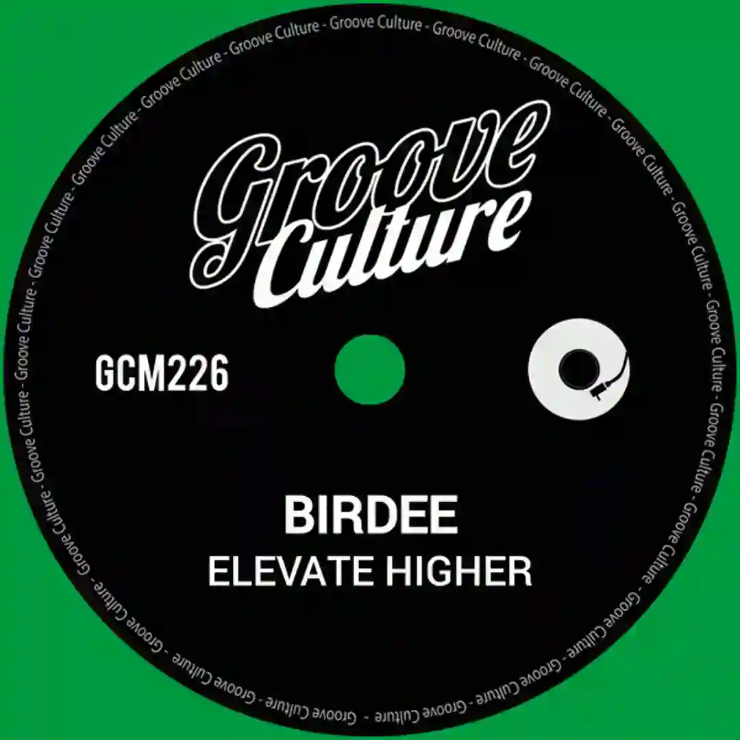 Elevate Higher (Instrumental) cover