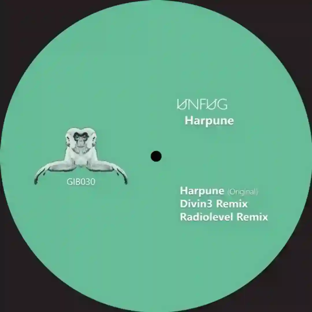 Harpune (Radiolevel Remix) cover
