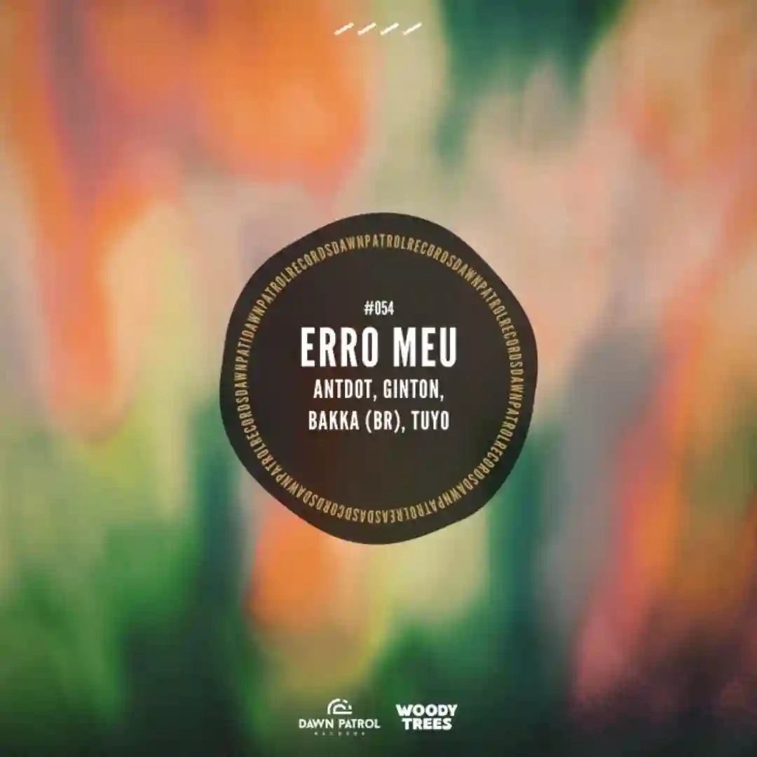 Erro Meu (Original Mix) cover