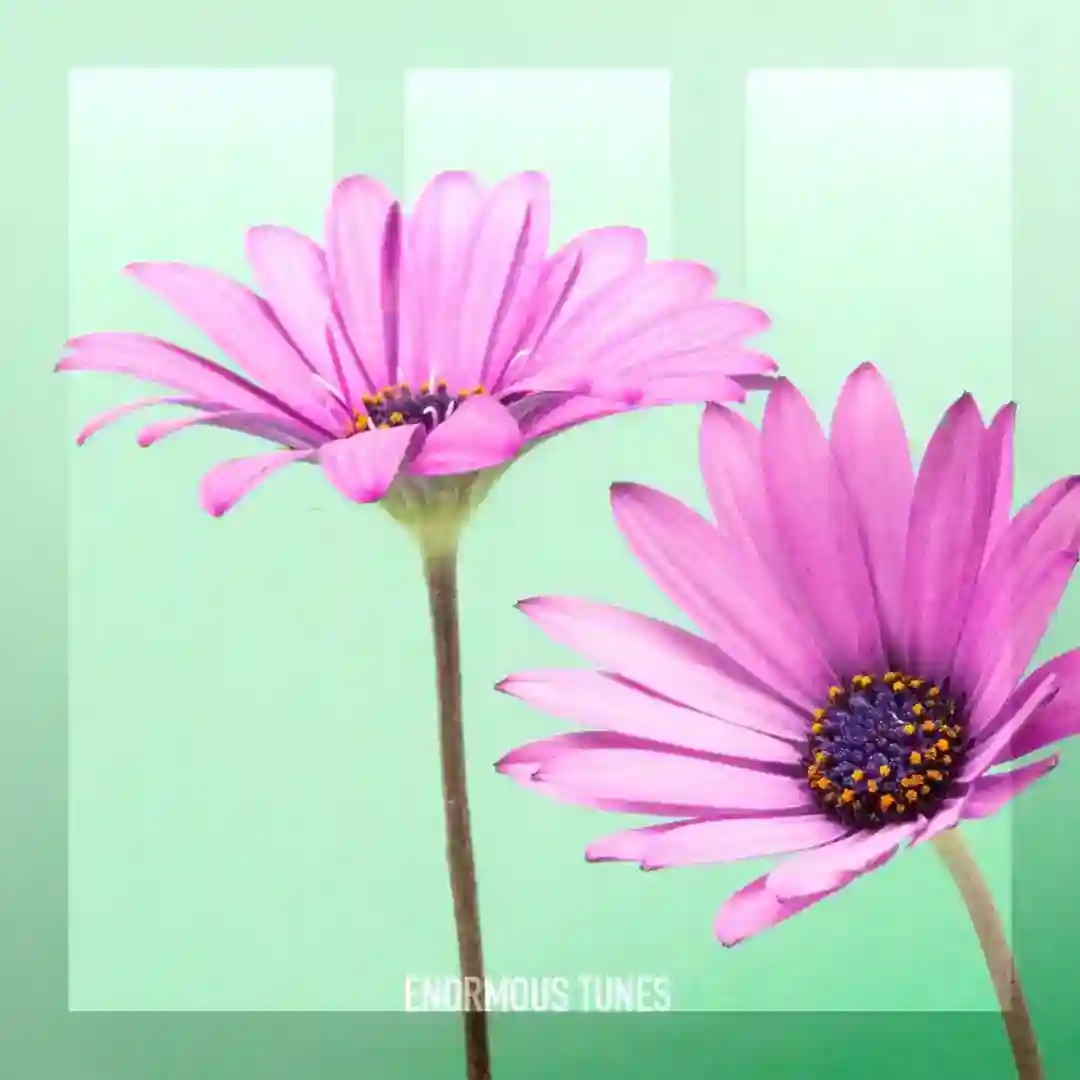 Through Autistic Eyes (Extended Mix) cover