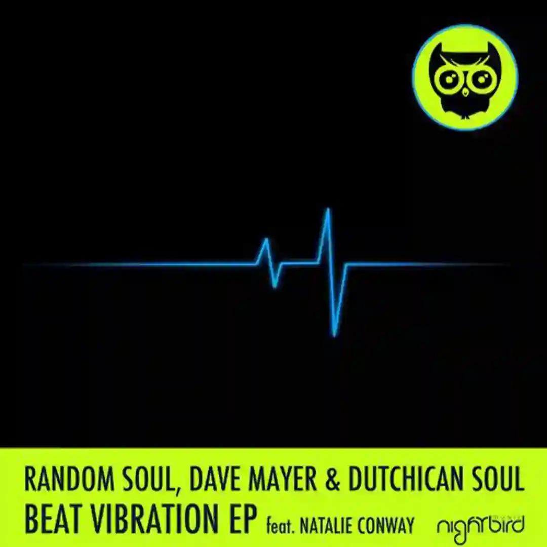 Beat Vibration (Original Mix) cover